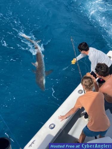 Click to Enlarge Photo