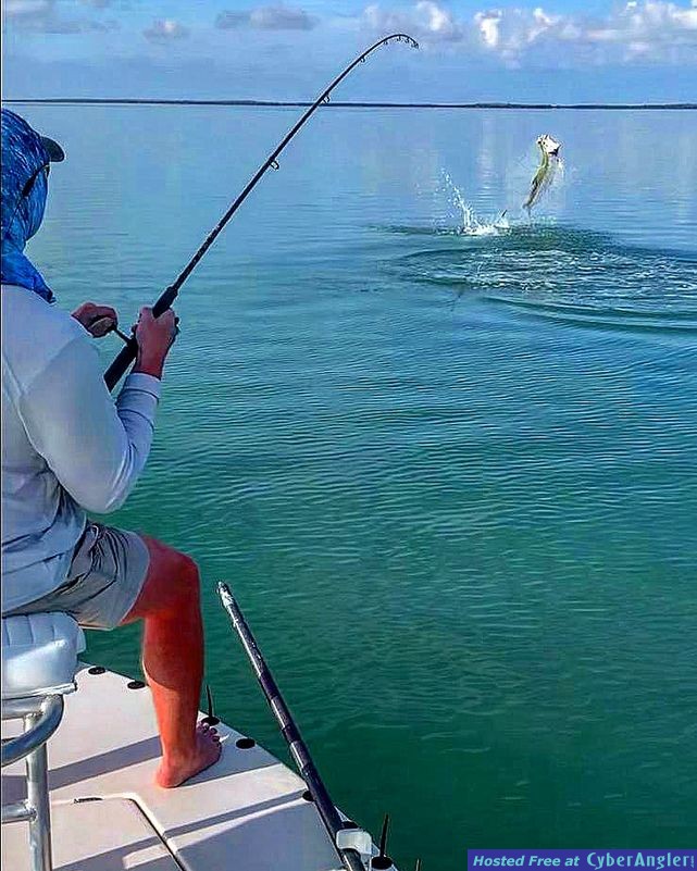 Tarpon key west