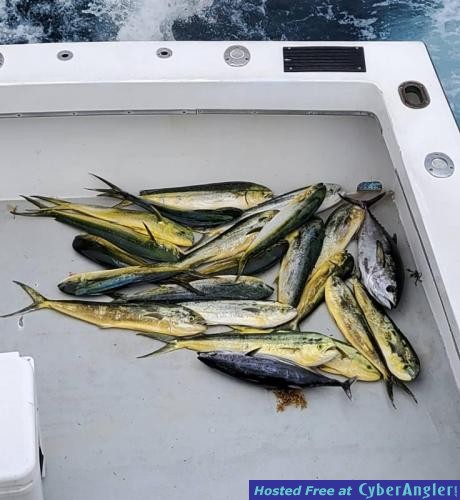 Click to Enlarge Photo