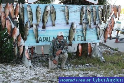 Panhandle Groupers and Snappers