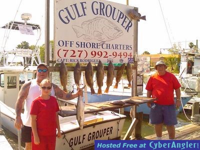 gulf_grouper_phone_pics_004