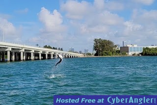 Click to Enlarge Photo