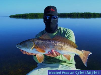 Click to Enlarge Photo