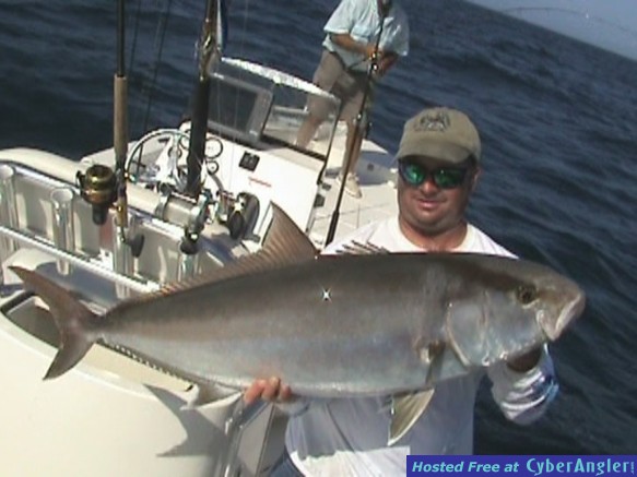 Amberjack