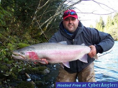 Steelhead