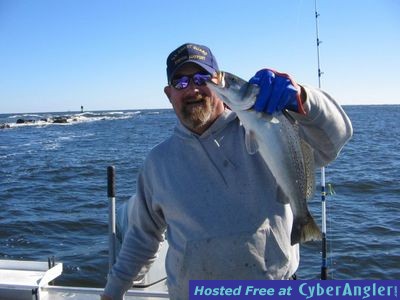 Click to Enlarge Photo