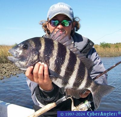 Capt. Kyle Messier's Big Sheephead!