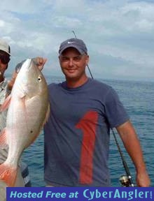 nice mutton snapper