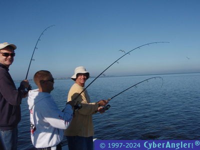 Click to Enlarge Photo