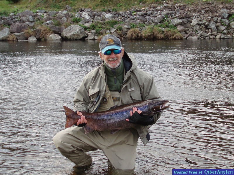 Atlantic salmon