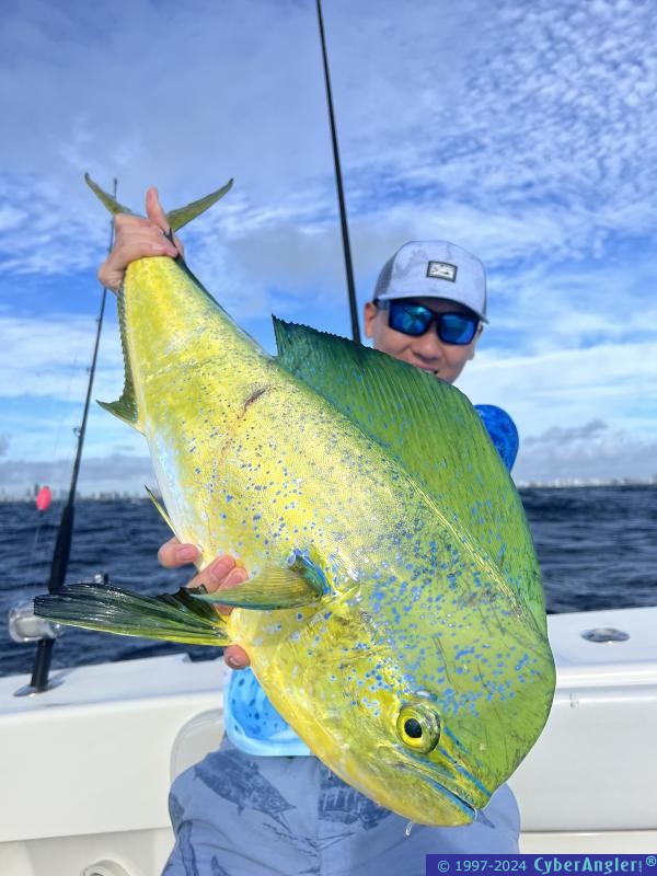 IMG_4263_big_mahi