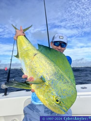 Click to Enlarge Photo