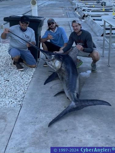 Click to Enlarge Photo