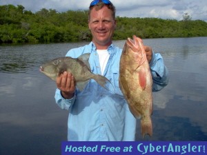 red grouper and triggerfish