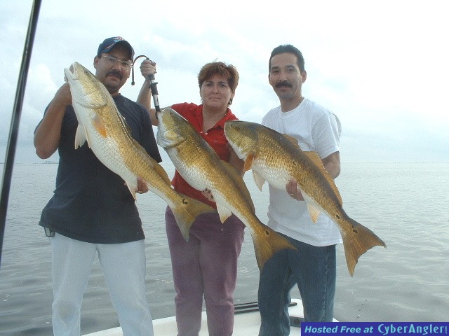 Pensacola Bronze Beauties