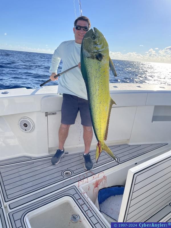 IMG_1227_winter_mahi