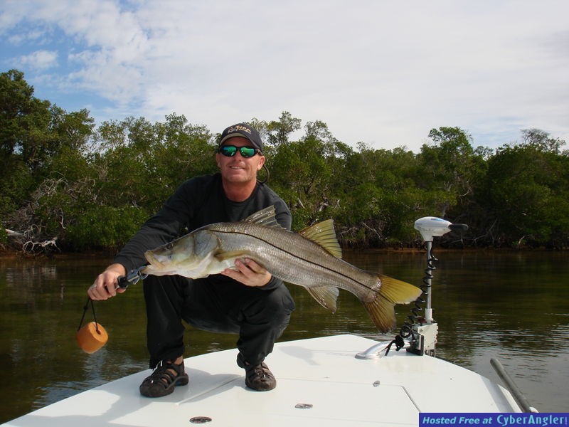 Pine Island Snook