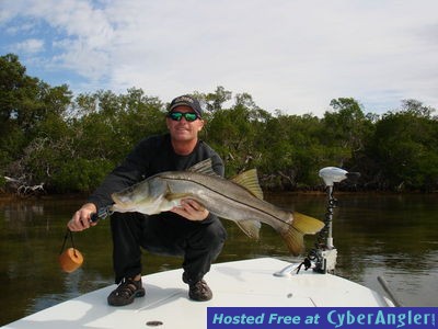 Pine Island Snook