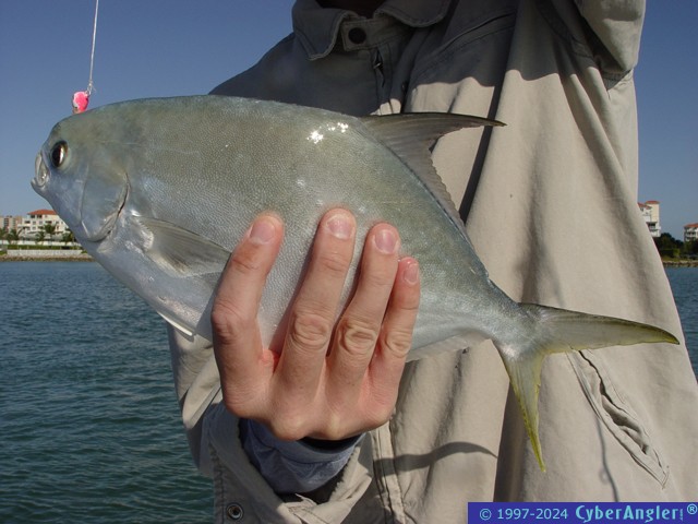 Click to Enlarge Photo