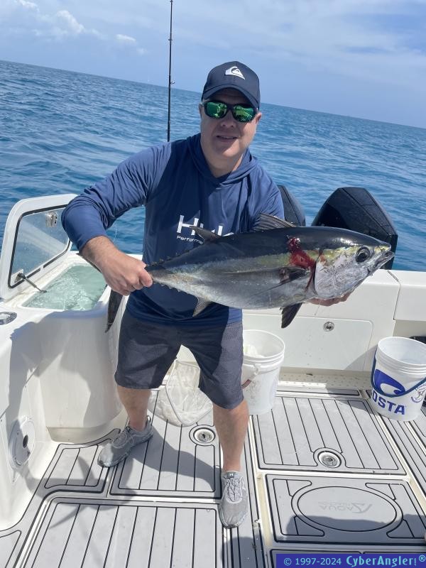 IMG_2045_blackfin