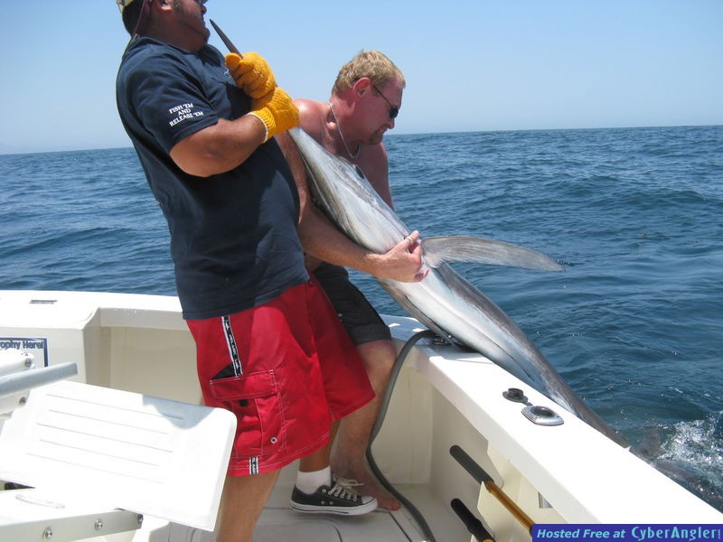 Click to Enlarge Photo