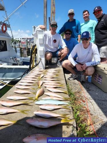 Click to Enlarge Photo