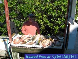 mixed bag