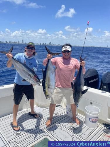 Click to Enlarge Photo