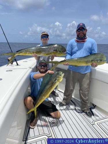 Click to Enlarge Photo