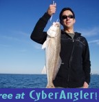 26.5&quot; Redfish / Dave Minoff, 11/28/08