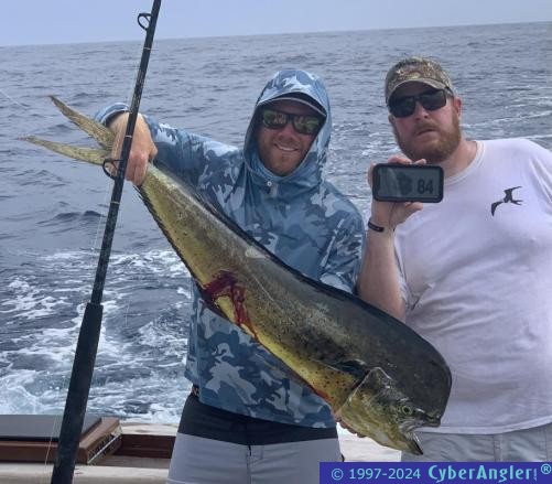 Click to Enlarge Photo