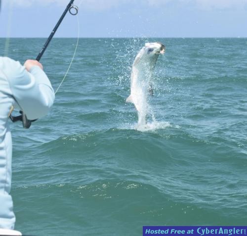 Click to Enlarge Photo