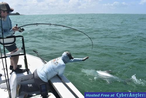 Click to Enlarge Photo