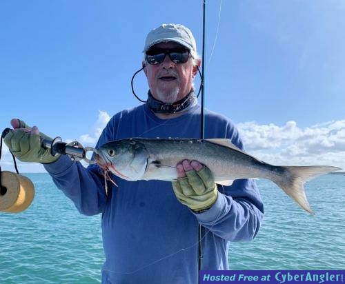 Click to Enlarge Photo