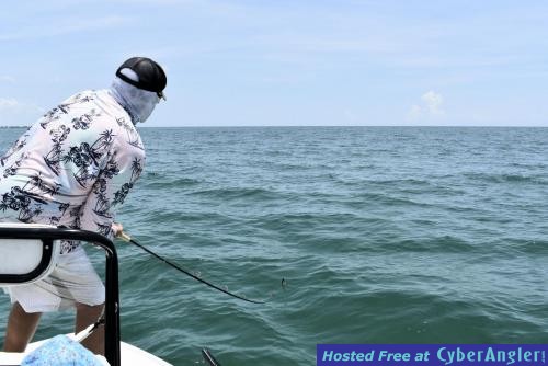 Click to Enlarge Photo