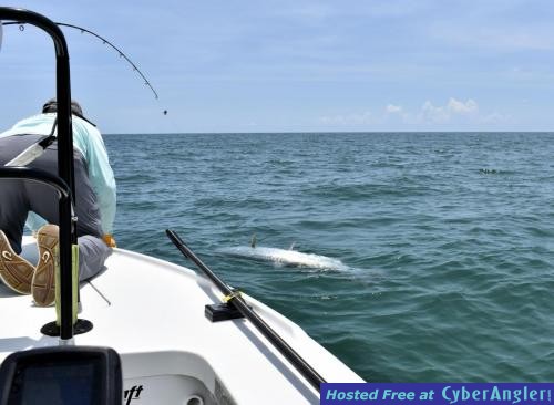 Click to Enlarge Photo