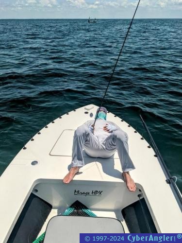 Click to Enlarge Photo