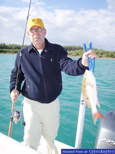 South Biscayne Bay Snapper