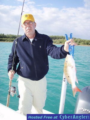 South Biscayne Bay Snapper