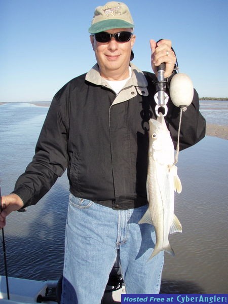 Flamingo Snook