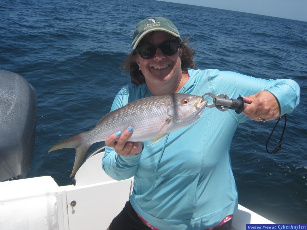 NancyQuiroz20Yellowtail