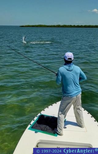 Click to Enlarge Photo