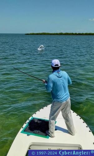 Click to Enlarge Photo