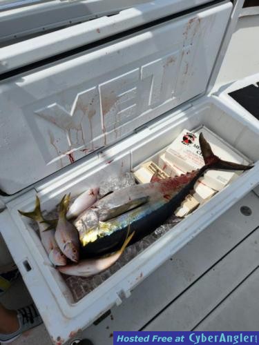 Click to Enlarge Photo