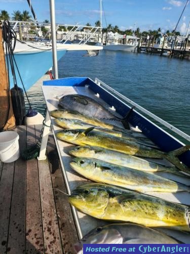 Click to Enlarge Photo