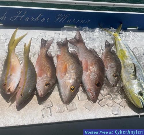 Click to Enlarge Photo