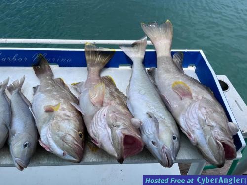 Click to Enlarge Photo