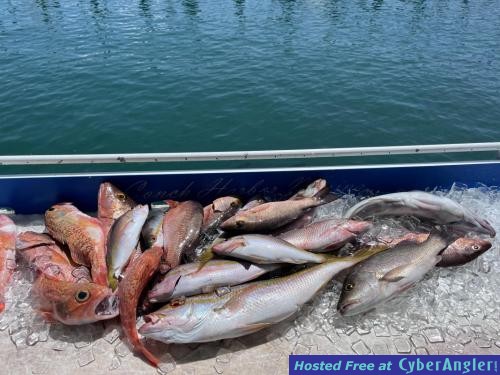 Click to Enlarge Photo