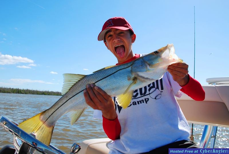 30&quot; Snook