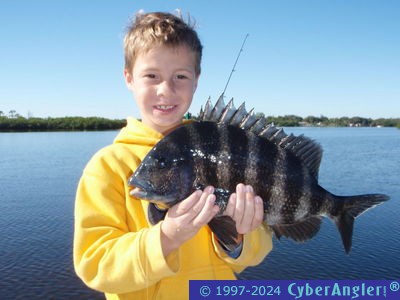 Click to Enlarge Photo